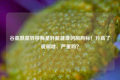 谷氨酰氨转移酶是肝脏健康的风向标!升高了说明啥、严重吗?