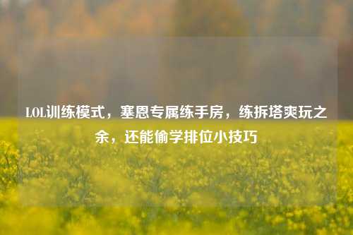 LOL训练模式，塞恩专属练手房，练拆塔爽玩之余，还能偷学排位小技巧
