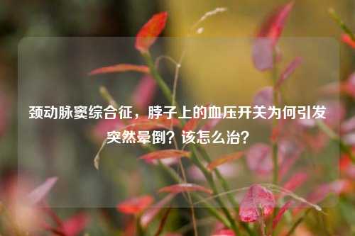 颈动脉窦综合征,脖子上的血压开关为何引发突然晕倒?该怎么治?