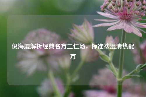 倪海厦解析经典名方三仁汤,标准祛湿清热配方