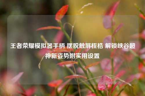 王者荣耀模拟器手柄 摆脱触屏桎梏 解锁峡谷超神新姿势附实用设置