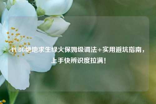 PUBG绝地求生绿火保姆级调法+实用避坑指南,上手快辨识度拉满!