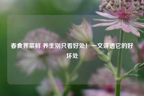 春食荠菜鲜 养生别只看好处！一文讲透它的好坏处