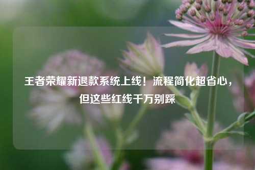 王者荣耀新退款系统上线！流程简化超省心，但这些红线千万别踩
