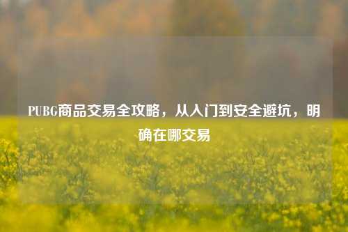 PUBG商品交易全攻略，从入门到安全避坑，明确在哪交易