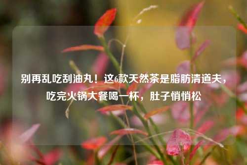 别再乱吃刮油丸！这6款天然茶是脂肪清道夫，吃完火锅大餐喝一杯，肚子悄悄松