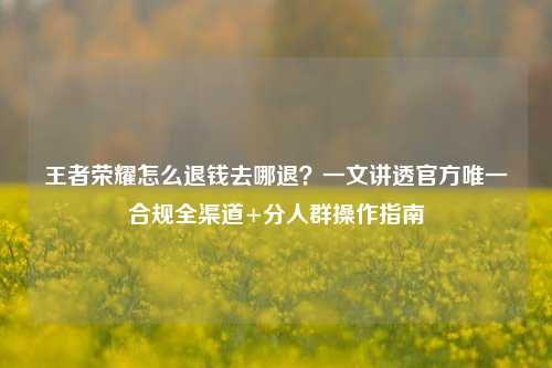 王者荣耀怎么退钱去哪退?一文讲透官方唯一合规全渠道+分人群操作指南