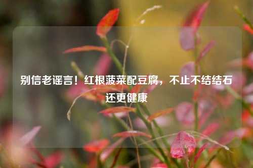 别信老谣言!红根菠菜配豆腐,不止不结结石还更健康