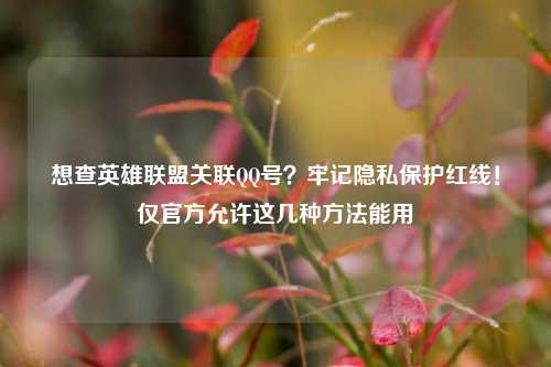 想查英雄联盟关联QQ号?牢记隐私保护红线!仅官方允许这几种方法能用