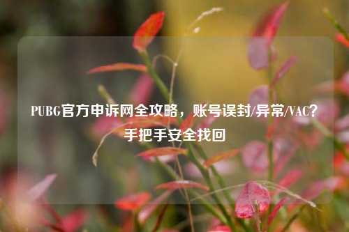 PUBG官方申诉网全攻略，账号误封/异常/VAC？手把手安全找回