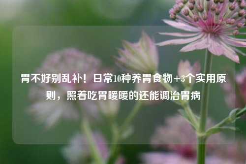 胃不好别乱补！日常10种养胃食物+3个实用原则，照着吃胃暖暖的还能调治胃病