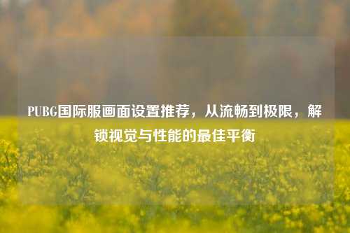 PUBG国际服画面设置推荐,从流畅到极限,解锁视觉与性能的最佳平衡
