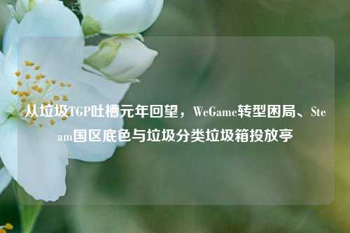 从垃圾TGP吐槽元年回望，WeGame转型困局、Steam国区底色与垃圾分类垃圾箱投放亭