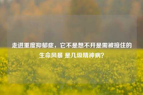 走进重度抑郁症,它不是想不开是需被接住的生命风暴 是几级精神病?
