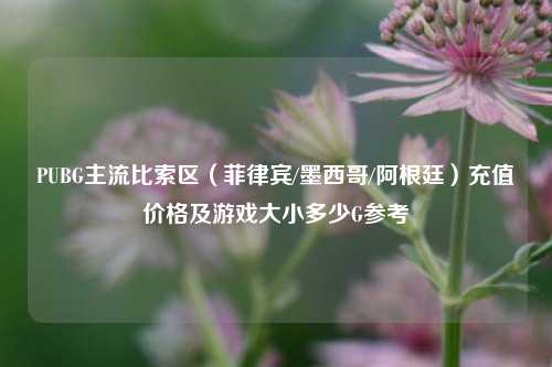 PUBG主流比索区（菲律宾/墨西哥/阿根廷）充值价格及游戏大小多少G参考