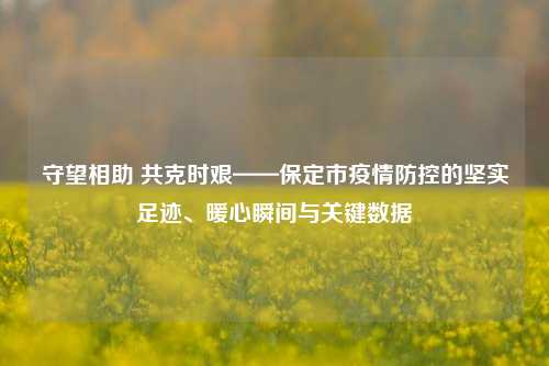 守望相助 共克时艰——保定市疫情防控的坚实足迹、暖心瞬间与关键数据