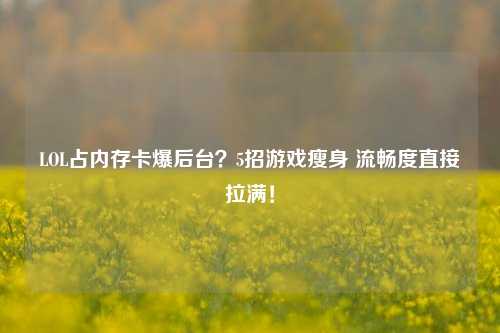 LOL占内存卡爆后台？5招游戏瘦身 流畅度直接拉满！