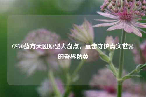 CSGO蓝方天团原型大盘点，直击守护真实世界的警界精英