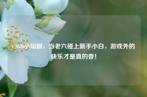CSGO小短剧，当老六碰上新手小白，游戏外的快乐才是真的香！
