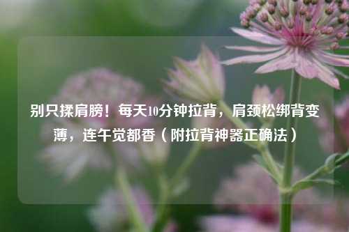 别只揉肩膀！每天10分钟拉背，肩颈松绑背变薄，连午觉都香（附拉背神器正确法）