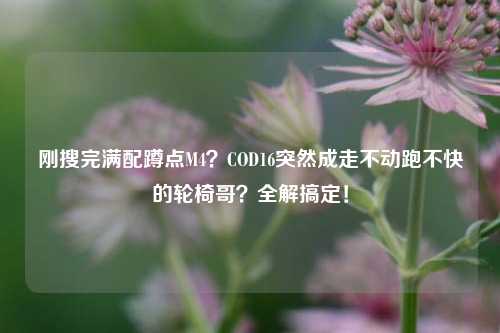 刚搜完满配蹲点M4？COD16突然成走不动跑不快的轮椅哥？全解搞定！