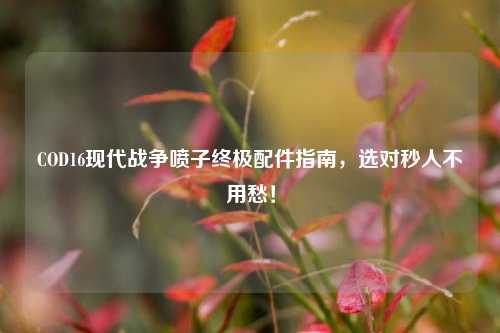COD16现代战争喷子终极配件指南，选对秒人不用愁！