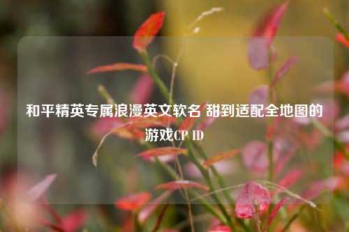 和平精英专属浪漫英文软名 甜到适配全地图的游戏CP ID