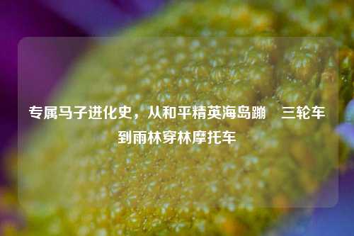 专属马子进化史，从和平精英海岛蹦跶三轮车到雨林穿林摩托车