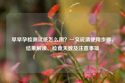 早早孕检测试纸怎么用?一文说清使用步骤、结果解读、检查天数及注意事项