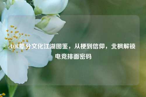 LOL辈分文化江湖图鉴,从梗到信仰,北枫解锁电竞排面密码