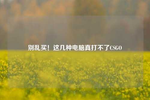 别乱买!这几种电脑真打不了CSGO