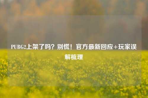 PUBG2上架了吗？别慌！官方最新回应+玩家误解梳理