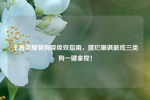 王者荣耀驯狗降级双指南，摆烂嘲讽脏线三类狗一键拿捏！