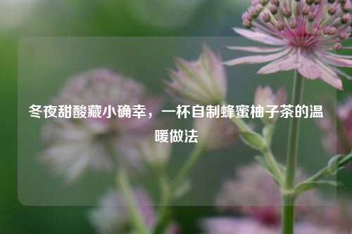 冬夜甜酸藏小确幸，一杯自制蜂蜜柚子茶的温暖做法
