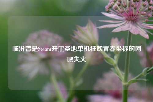临汾曾是Steam开黑圣地单机狂欢青春坐标的网吧失火