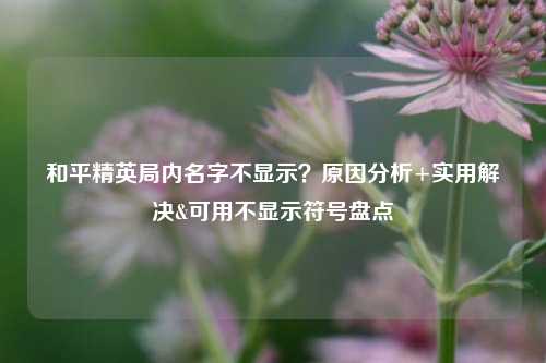 和平精英局内名字不显示？原因分析+实用解决&可用不显示符号盘点
