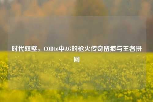 时代双璧,COD16中AG的枪火传奇留痕与王者拼图