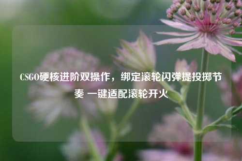 CSGO硬核进阶双操作，绑定滚轮闪弹提投掷节奏 一键适配滚轮开火