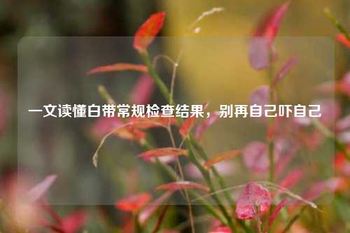 一文读懂白带常规检查结果,别再自己吓自己
