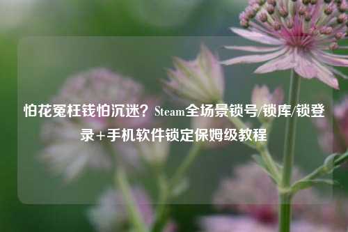 怕花冤枉钱怕沉迷？Steam全场景锁号/锁库/锁登录+手机软件锁定保姆级教程