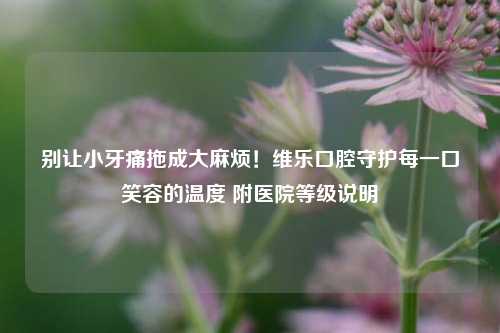 别让小牙痛拖成大麻烦！维乐口腔守护每一口笑容的温度 附医院等级说明