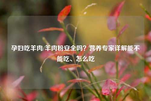 孕妇吃羊肉/羊肉粉安全吗?营养专家详解能不能吃、怎么吃