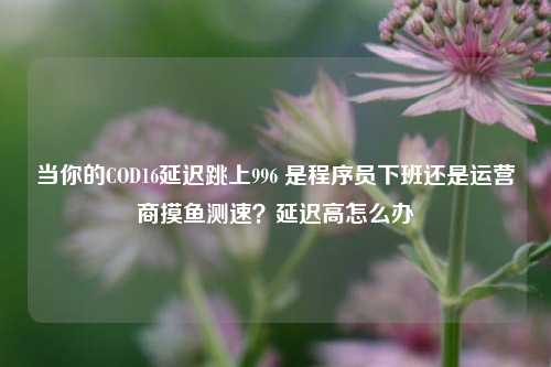 当你的COD16延迟跳上996 是程序员下班还是运营商摸鱼测速?延迟高怎么办