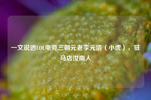 一文说透LOL电竞三朝元老李元浩(小虎),驻马店汝南人