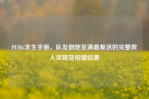 PUBG求生手册，队友倒地至满血复活的完整救人攻略及按键设置