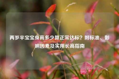 两岁半宝宝身高多少算正常达标?附标准、影响因素及实用长高指南