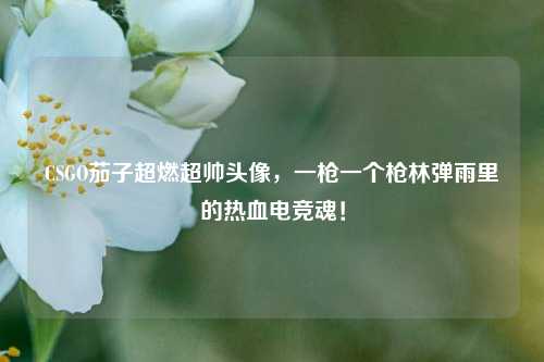 CSGO茄子超燃超帅头像,一枪一个枪林弹雨里的热血电竞魂!