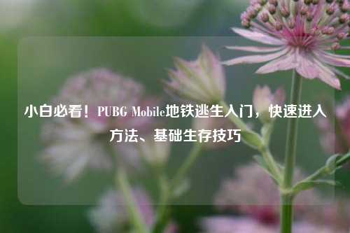 小白必看!PUBG Mobile地铁逃生入门,快速进入方法、基础生存技巧