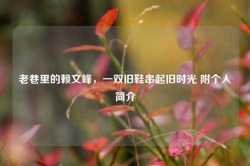 老巷里的赖文峰,一双旧鞋串起旧时光 附个人简介