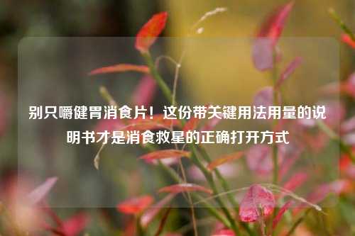 别只嚼健胃消食片！这份带关键用法用量的说明书才是消食救星的正确打开方式
